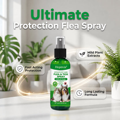 🔥Last Day Buy 1 Get 1 Free $9.98 Each🔥Gentle-formula pest repellent spray for pets—protect your pet from pests.😾