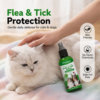 🔥Last Day Buy 1 Get 1 Free $9.98 Each🔥Gentle-formula pest repellent spray for pets—protect your pet from pests.😾